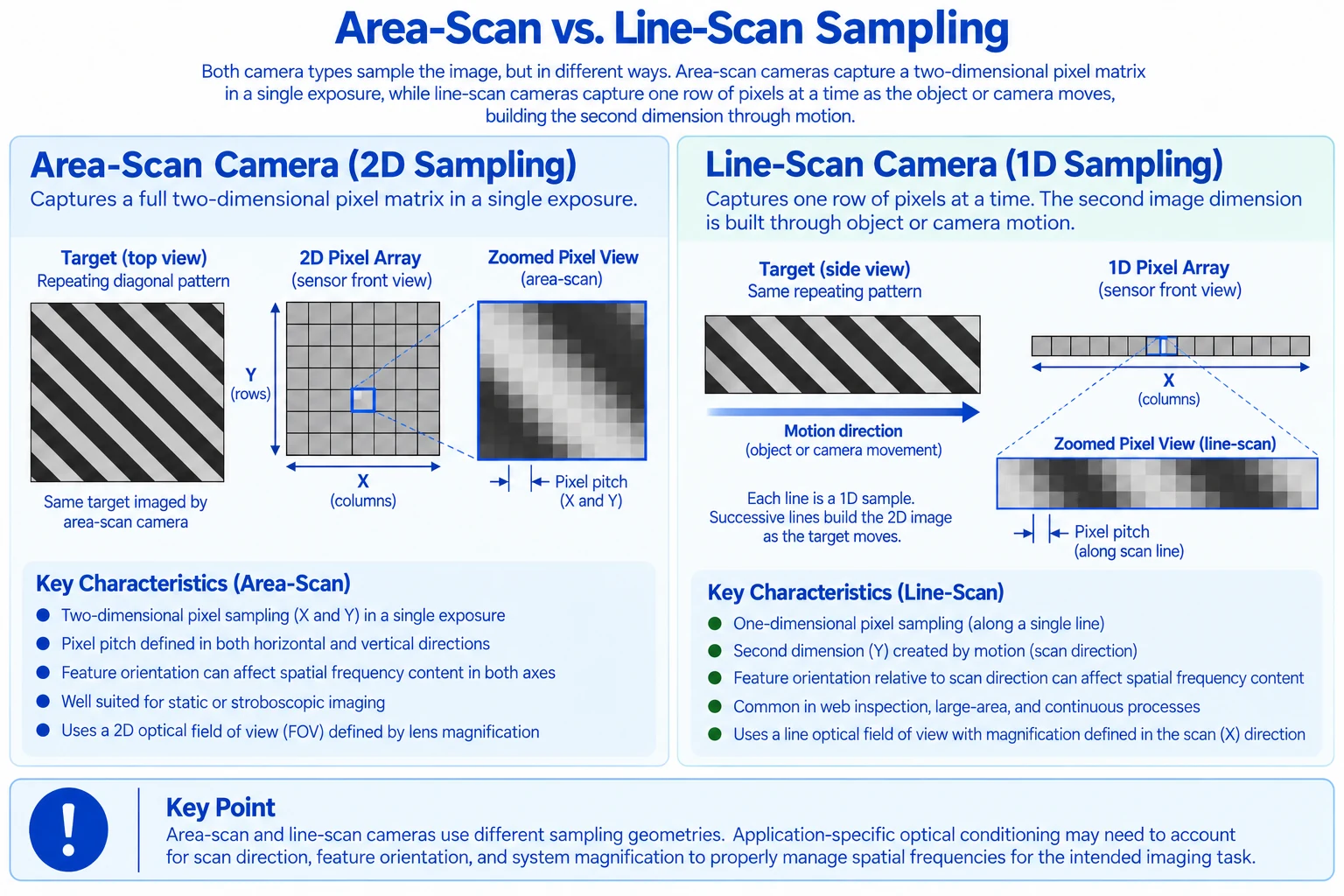 Area-scan and line-scan sensor sampling comparison